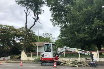 Luc'Arborist, Elagage d'arbres à Saint-Sever