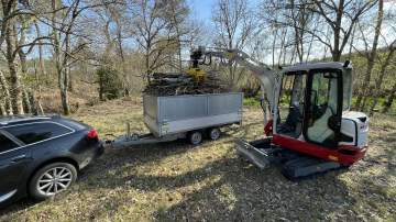 Entreprise d'élagage et d'abattage près de Mont-de-Marsan