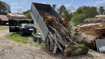 Entreprise d'élagage et d'abattage près de Mont-de-Marsan