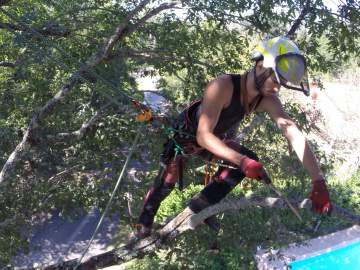 Luc'Arborist Pour le soin de vos arbres 
Contactez-moi